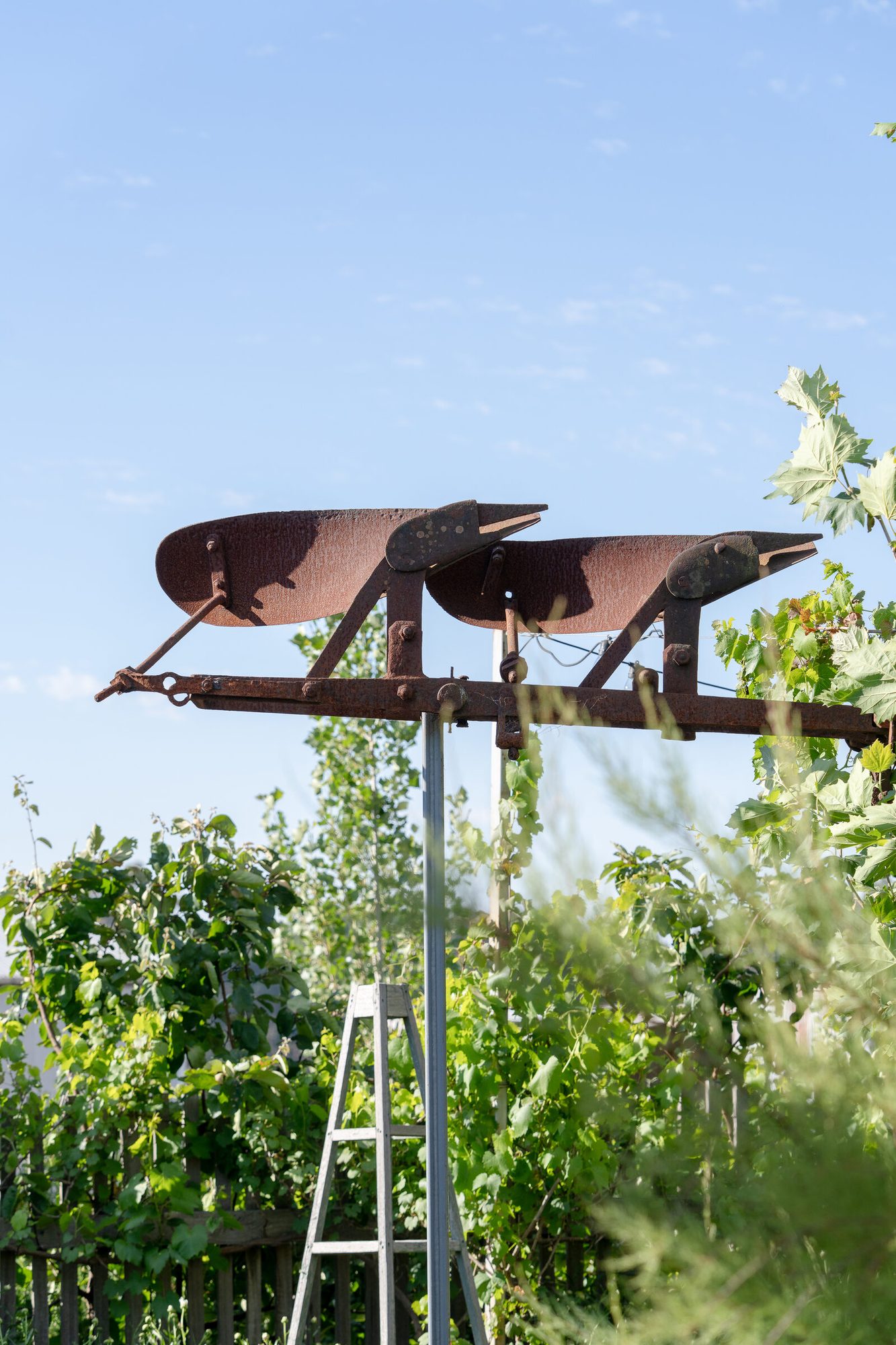 Garden Sculpture — Stonewalls Musk